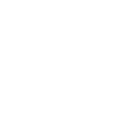 1% que transcende o extraordinário